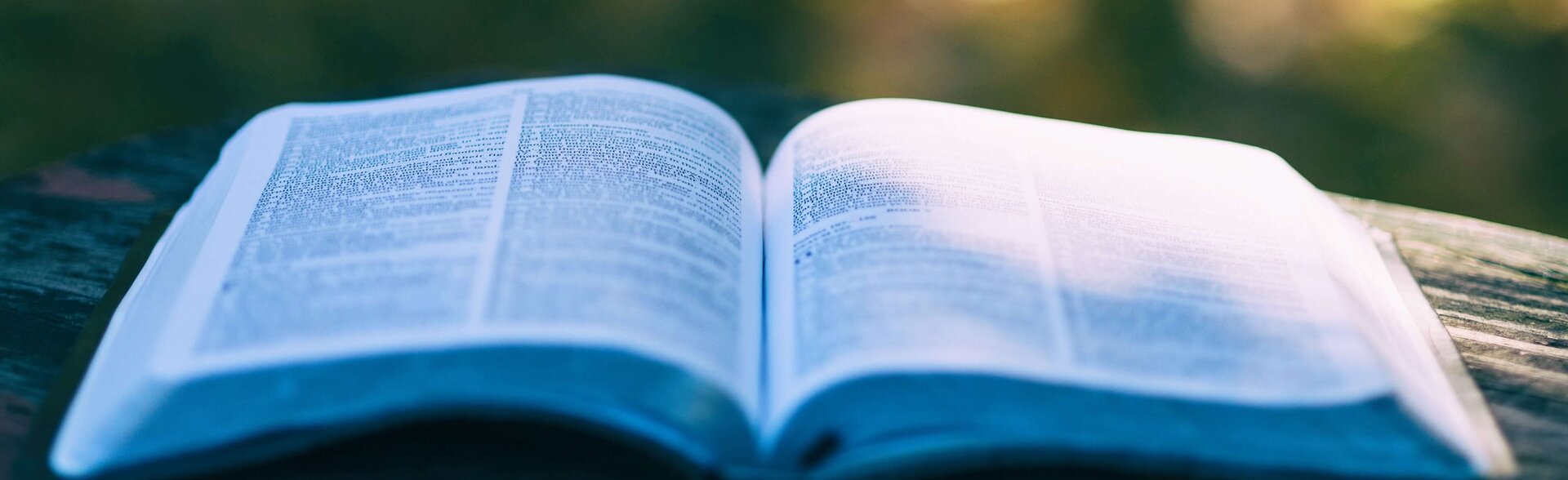 Unsere Reihe "Neuropsychologie psychischer Erkrankungen"