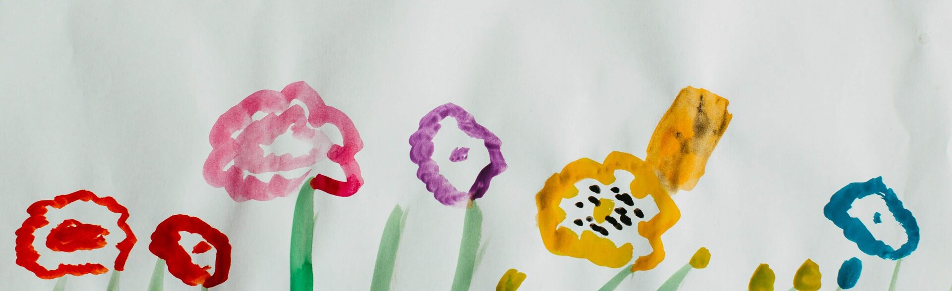 NEU-NEU-NEU: Curriculum Kinderneuropsychologie